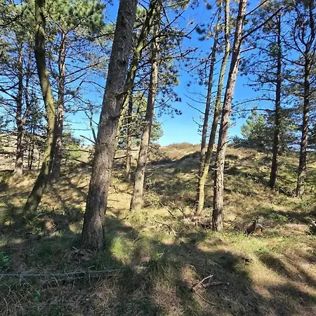8 Person In Romo Holiday home Kongsmark